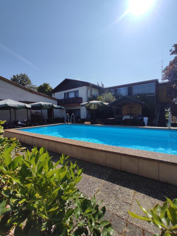 Moselferienweingut Schaefer Apartment Wintrich Luaran gambar