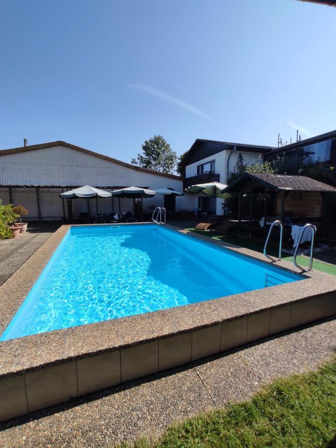 Moselferienweingut Schaefer Apartment Wintrich Luaran gambar