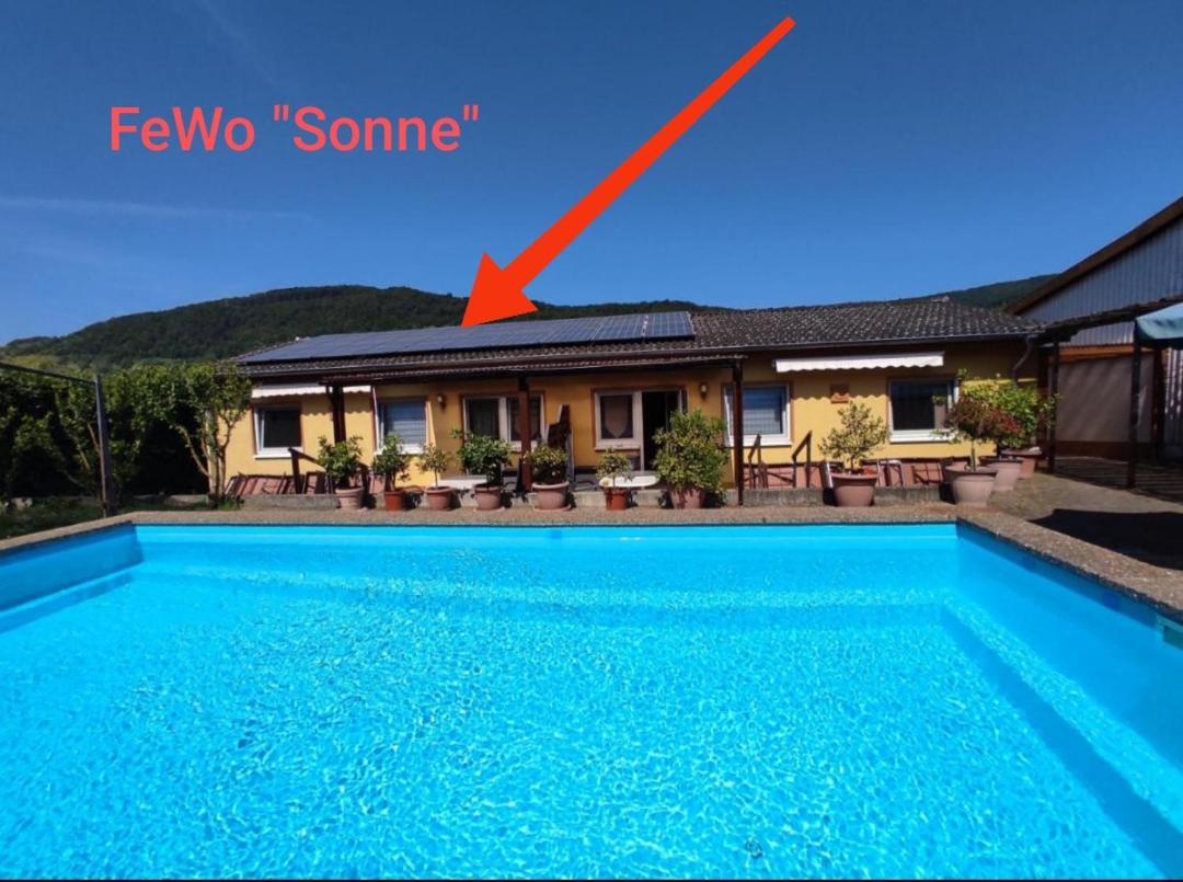 Moselferienweingut Schaefer Apartment Wintrich Bilik gambar